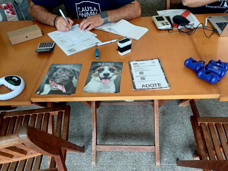 VACINA&Ccedil;&Atilde;O ANTIRRABICA REALIZOU-SE EM PERAFITA 
