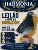 Tradicional Leil&atilde;o de Borrachos