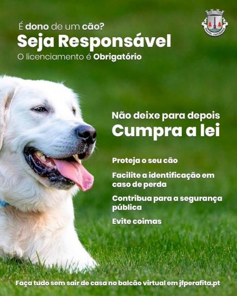LICENCIAMENTO DE C&Atilde;ES: UMA OBRIGA&Ccedil;&Atilde;O, UMA RESPONSABLIDADE
