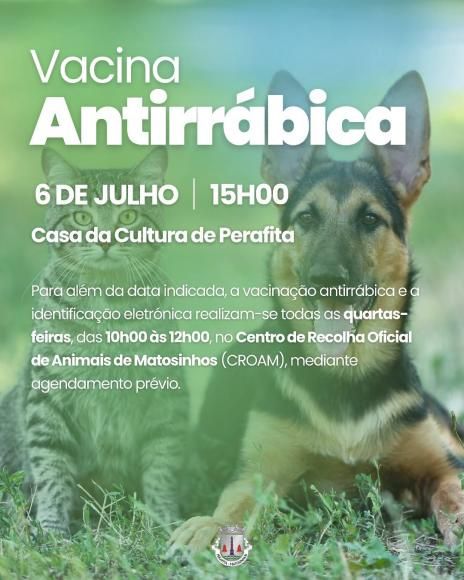Vacina&ccedil;&atilde;o Antirr&aacute;bica